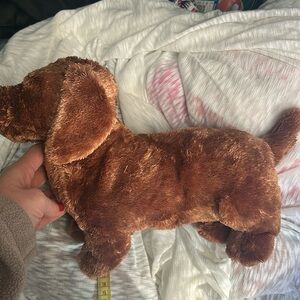 2018 ty Plush “”Frank””